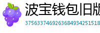 波宝钱包旧版本下载